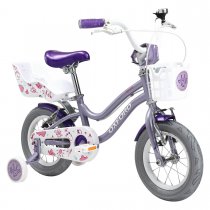 BEAUTY ARO 12 1V LILA/FUCSIA