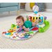 FISHER PRICE GIMNASIO DELUXE PIANO FWT21