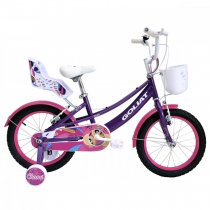CHAMI ARO 16 MORADO
